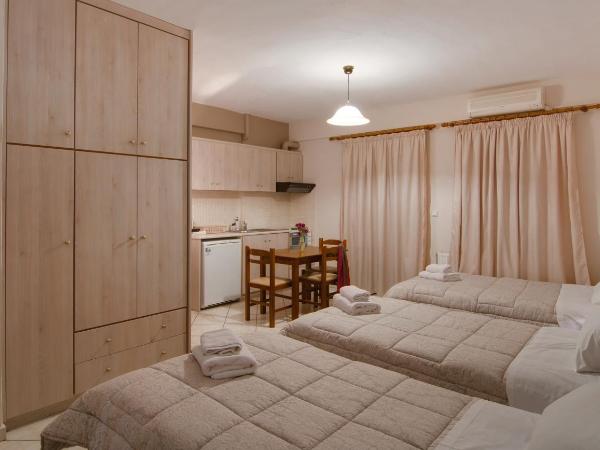 Tsironis Guesthouse : photo 9 de la chambre studio (3 adultes)