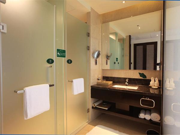 Mangrove Tree Resort World Sanya Bay-Coconut : photo 5 de la chambre chambre double – vue sur ville