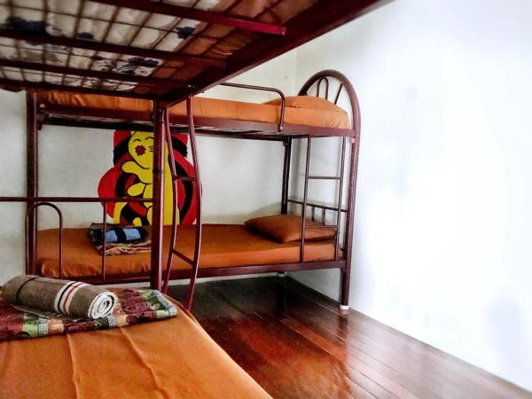 QuiikCat : photo 4 de la chambre lit superposé dans dortoir mixte