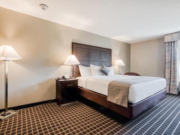 Alexis Hotel & Banquets Dallas Park Central Galleria : photo 5 de la chambre chambre lit king-size