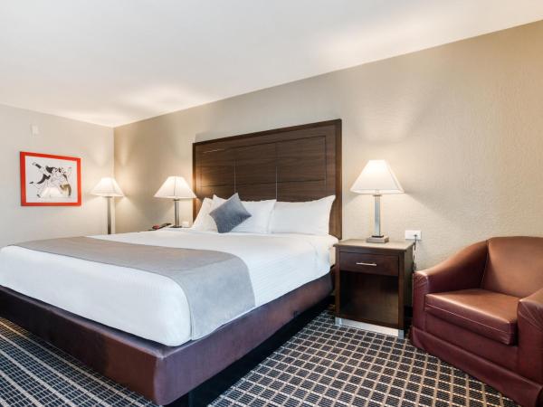 Alexis Hotel & Banquets Dallas Park Central Galleria : photo 6 de la chambre chambre lit king-size