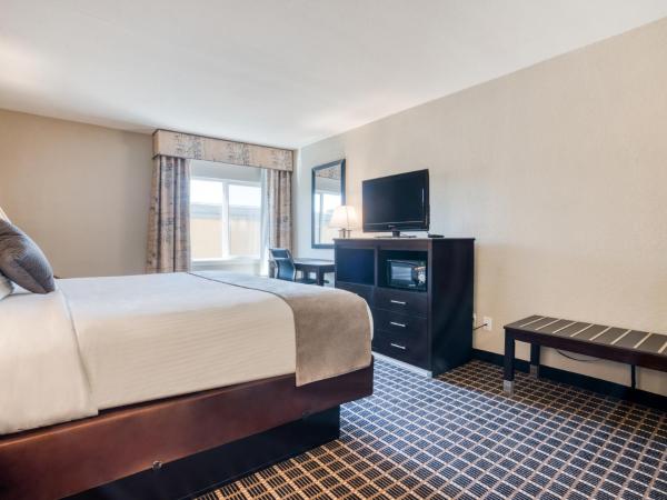 Alexis Hotel & Banquets Dallas Park Central Galleria : photo 7 de la chambre chambre lit king-size