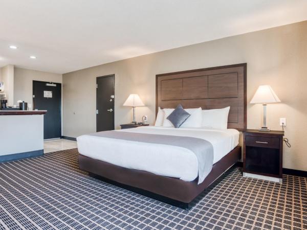 Alexis Hotel & Banquets Dallas Park Central Galleria : photo 4 de la chambre suite junior