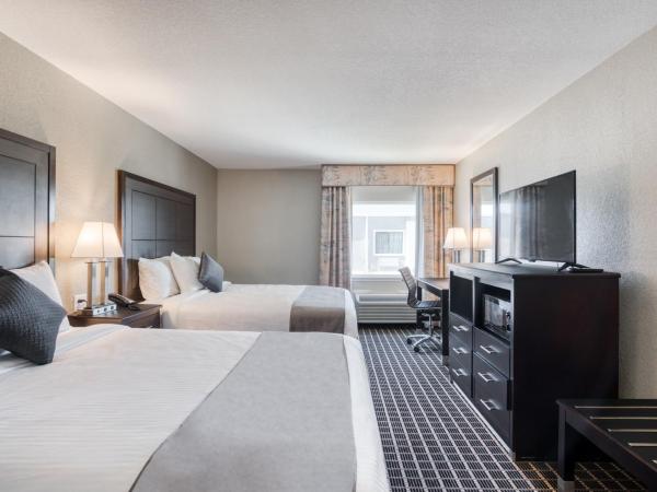 Alexis Hotel & Banquets Dallas Park Central Galleria : photo 3 de la chambre chambre avec 2 grands lits queen-size