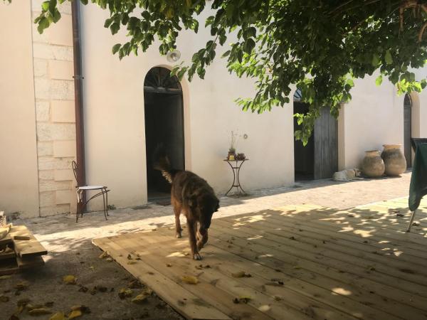 A Loghja Di Cavallo Morto : photo 6 de la chambre maison 1 chambre