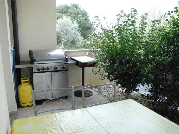 Apartmani Radin : photo 6 de la chambre chambre double - vue sur jardin