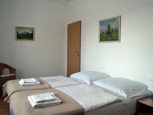 Pension Nika : photo 10 de la chambre chambre lits jumeaux - non-fumeurs