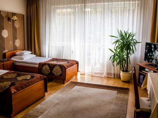 Willa Jolanta : photo 1 de la chambre studio