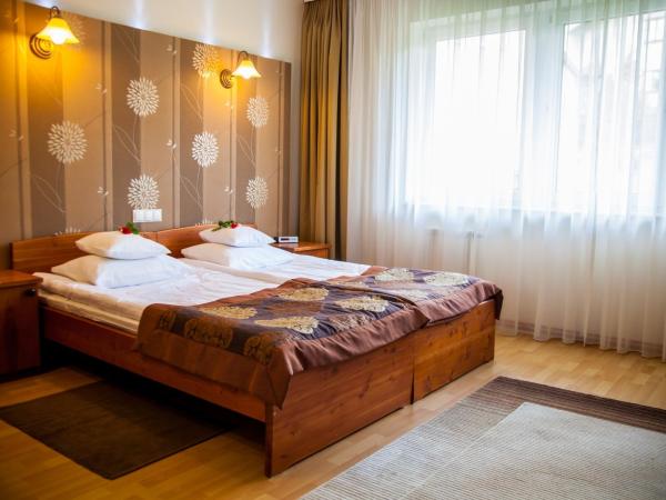 Willa Jolanta : photo 2 de la chambre studio