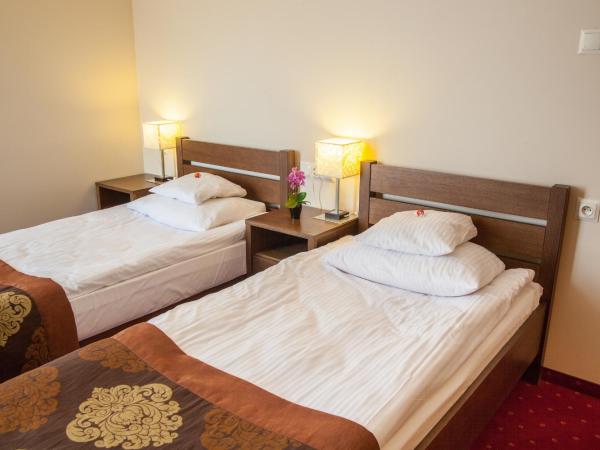 Willa Jolanta : photo 5 de la chambre chambre double ou lits jumeaux