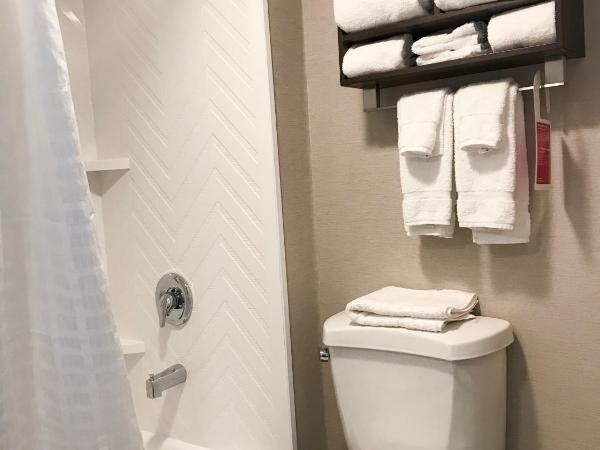 Ramada by Wyndham Suites Orlando Airport- Free Airport Shuttle : photo 6 de la chambre suite studio avec 2 lits doubles - non-fumeurs