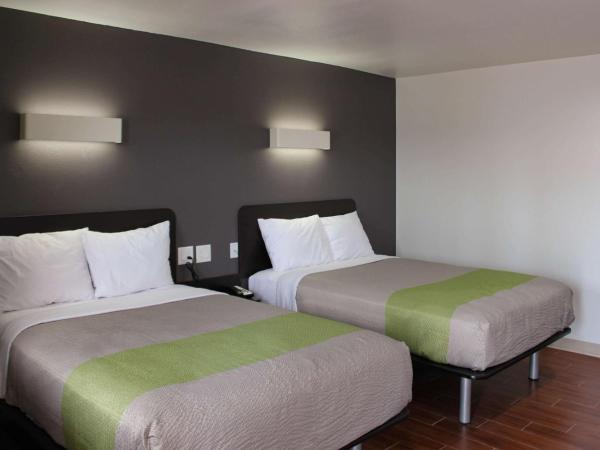 Studio 6-Houston, TX - East : photo 5 de la chambre chambre quadruple de luxe - non-fumeurs