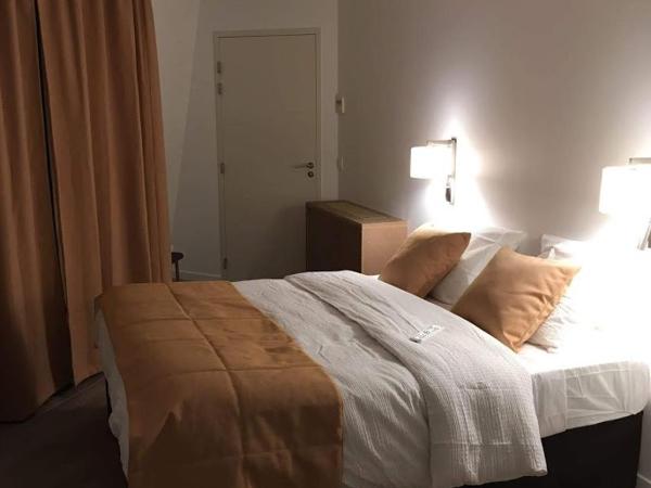 Hotel Ferney République : photo 1 de la chambre chambre deluxe