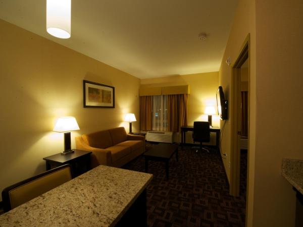 Days Inn & Suites by Wyndham Winnipeg Airport Manitoba : photo 6 de la chambre suite studio queen - non-fumeurs