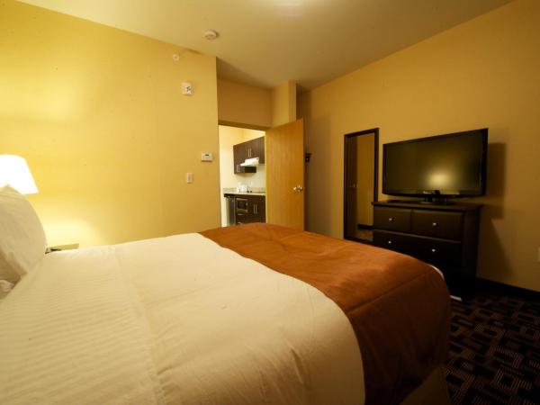 Days Inn & Suites by Wyndham Winnipeg Airport Manitoba : photo 5 de la chambre suite studio queen - non-fumeurs