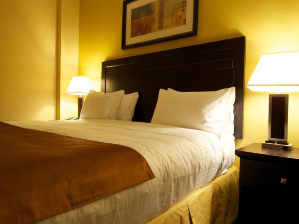 Days Inn & Suites by Wyndham Winnipeg Airport Manitoba : photo 2 de la chambre suite 1 chambre lit king-size - non-fumeurs