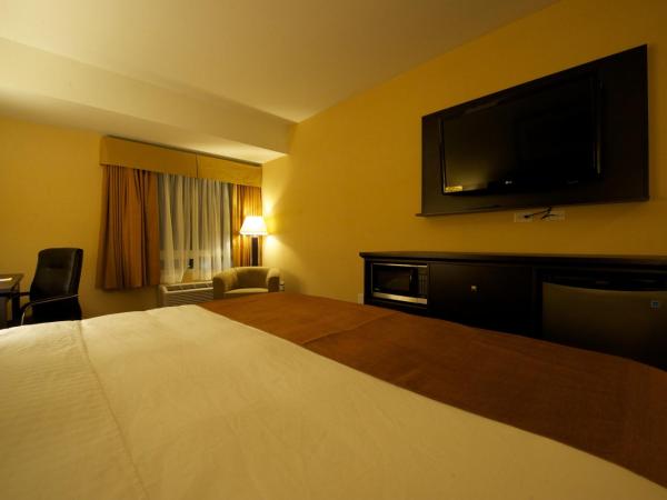 Days Inn & Suites by Wyndham Winnipeg Airport Manitoba : photo 3 de la chambre chambre lit king-size