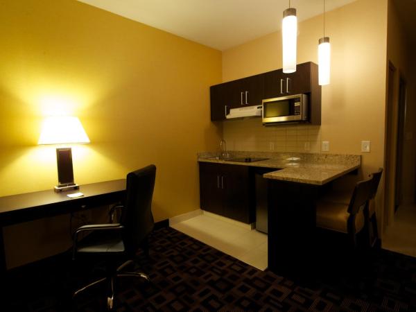 Days Inn & Suites by Wyndham Winnipeg Airport Manitoba : photo 3 de la chambre chambre 2 lits queen-size - non-fumeurs