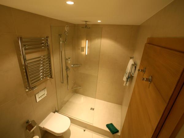 Bernerhof Swiss Quality Hotel Gstaad : photo 4 de la chambre chambre double Élégante