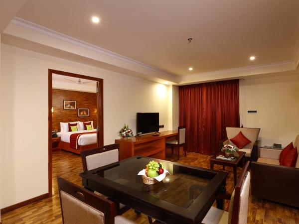 JVK Park Hotel : photo 4 de la chambre suite - vue sur ville