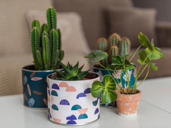 CosyCocoon : photo 1 de la chambre appartement supérieur