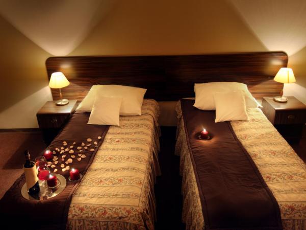 Hotel Wit Stwosz : photo 10 de la chambre chambre double/lits jumeaux