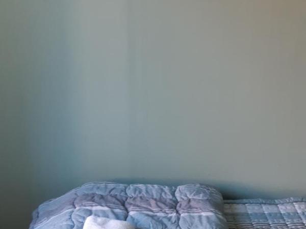 Birdsnest Hostel Hongdae Foreigner only : photo 4 de la chambre chambre simple avec salle de bains commune