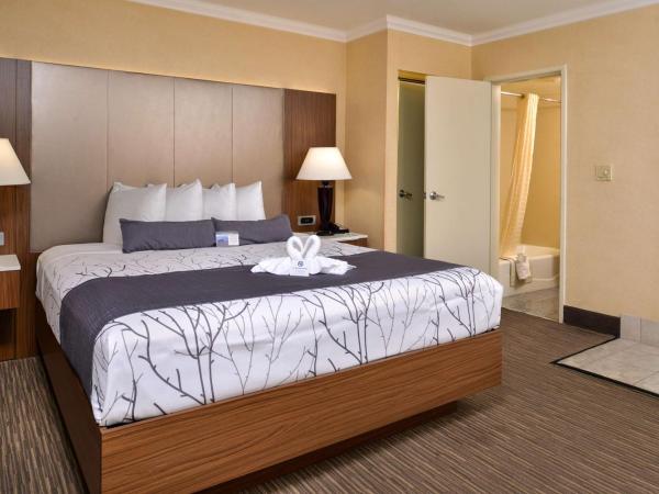 Best Western Hollywood Plaza Inn Hotel - Hollywood Walk of Fame LA : photo 10 de la chambre chambre lit king-size avec baignoire spa - non-fumeurs