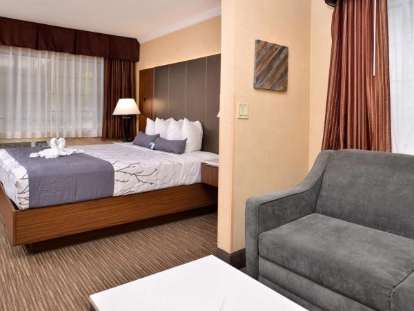 Best Western Hollywood Plaza Inn Hotel - Hollywood Walk of Fame LA : photo 5 de la chambre chambre lit king-size avec canapé-lit - non-fumeurs