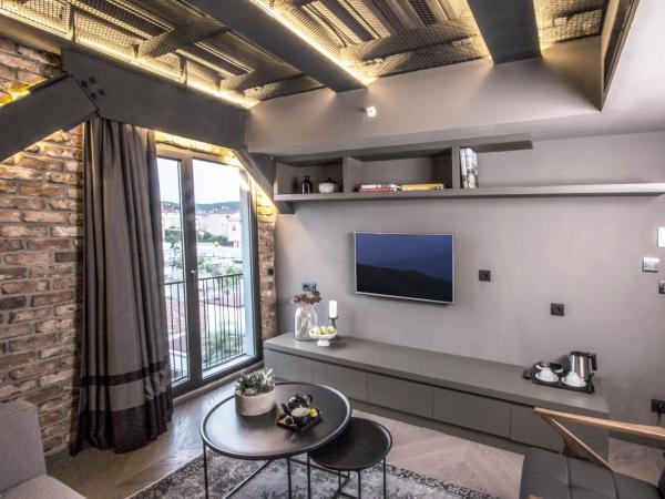 Cityloft 81 : photo 2 de la chambre suite loft