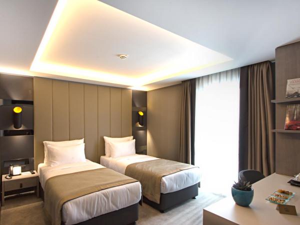 Cityloft 81 : photo 2 de la chambre chambre double ou lits jumeaux standard