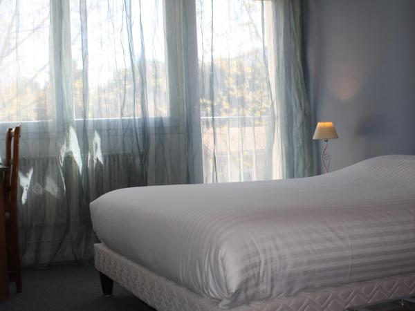 Logis Hotel du Midi : photo 3 de la chambre chambre double confort avec baignoire - vue sur cour