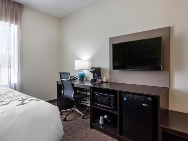 Sleep Inn & Suites Tampa South : photo 3 de la chambre suite lit king-size avec canapé-lit - non-fumeurs
