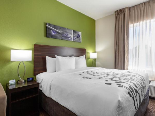 Sleep Inn & Suites Tampa South : photo 4 de la chambre suite lit king-size avec canapé-lit - non-fumeurs