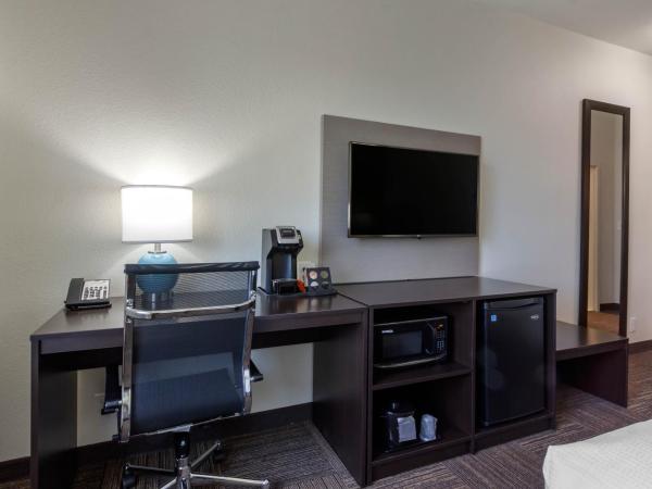 Sleep Inn & Suites Tampa South : photo 2 de la chambre chambre lit king-size standard - non-fumeurs