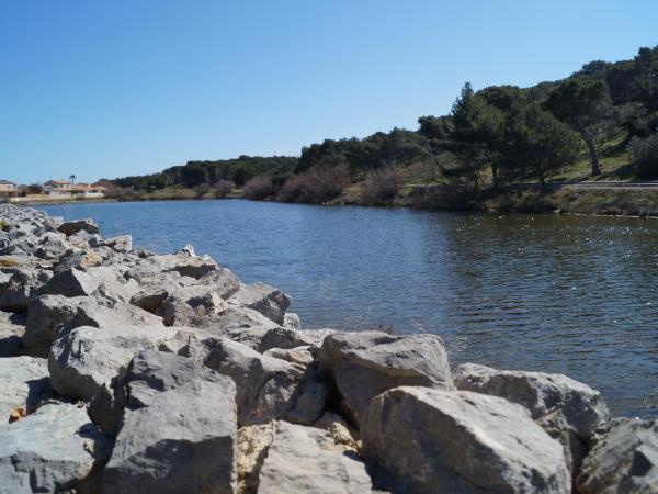 Hotel Le Phoebus Garden & Spa : photo 2 de la chambre chambre double privilège - accès au spa non inclus