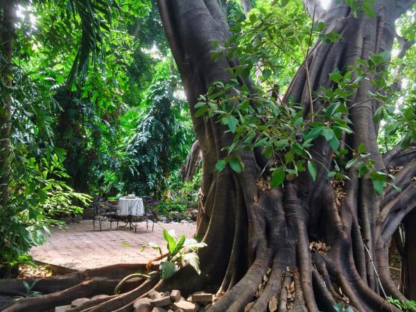 Cozycomo Bangkok : photo 10 de la chambre chambre double avec salle de bains privative