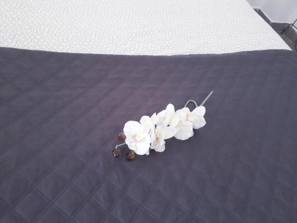 Sadinahome : photo 6 de la chambre studio