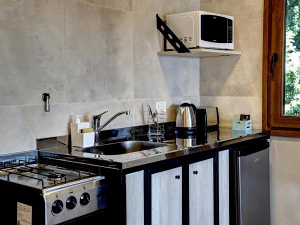 Las Liebres : photo 1 de la chambre studio avec vue sur lac