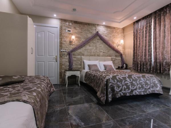 Melrose House Hotel : photo 8 de la chambre chambre double ou lits jumeaux