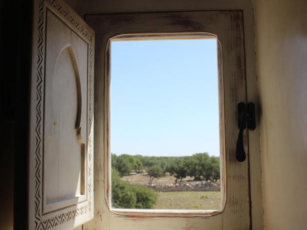 Riad Sanam essaouira : photo 5 de la chambre chambre double