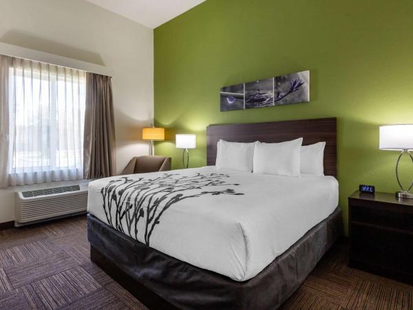 Sleep Inn & Suites Tampa South : photo 4 de la chambre chambre lit king-size - accessible aux personnes à mobilité réduite/non-fumeurs