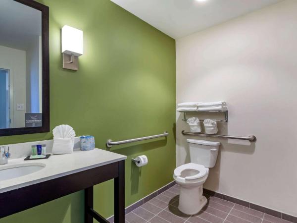 Sleep Inn & Suites Tampa South : photo 1 de la chambre suite avec lit king-size pour personnes à mobilité réduite - non-fumeurs