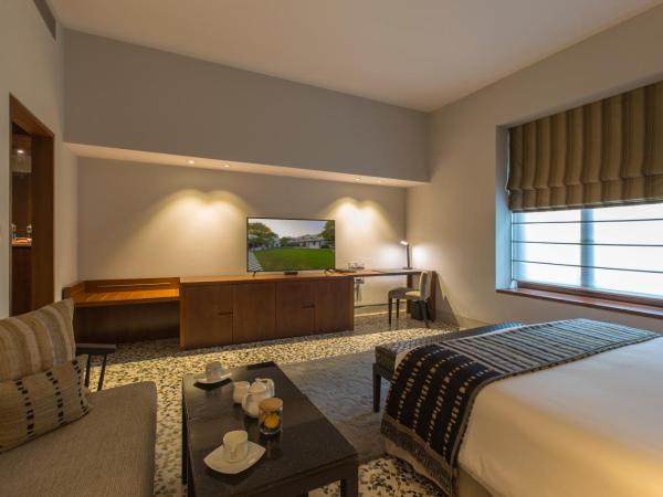 The Manor - New Delhi : photo 1 de la chambre suite studio