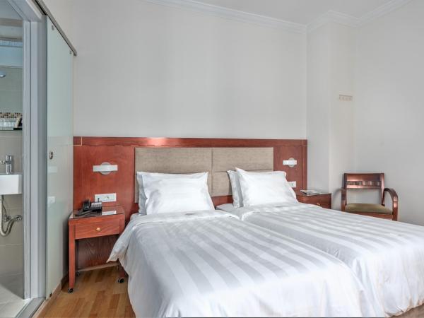 Attalos Hotel : photo 2 de la chambre chambre double ou lits jumeaux Économique