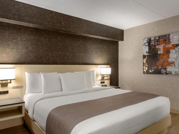 Days Inn by Wyndham Toronto West Mississauga : photo 7 de la chambre chambre lit king-size - non-fumeurs
