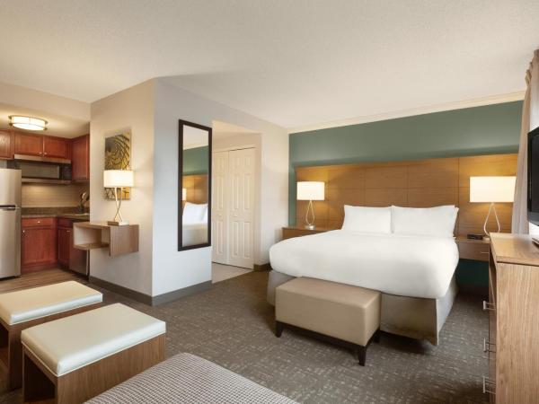 Staybridge Suites Tampa East- Brandon, an IHG Hotel : photo 1 de la chambre suite studio
