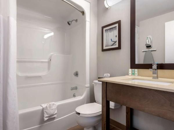 Quality Suites : photo 2 de la chambre chambre lit queen-size - non-fumeurs