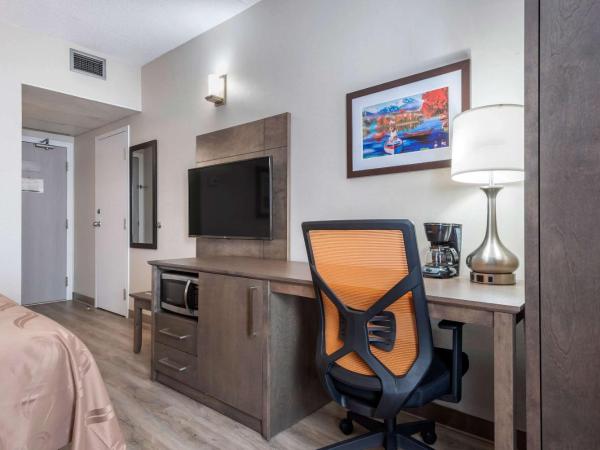 Quality Suites : photo 4 de la chambre chambre lit queen-size - non-fumeurs