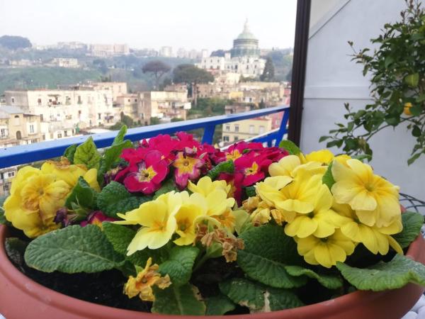 Di Palma Suite Museum : photo 4 de la chambre quadruple room with terrace and private external bathroom